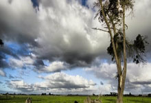 天涯社区玩币，到底是什么鬼？