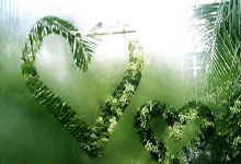 天涯社区玩币，到底是什么鬼？