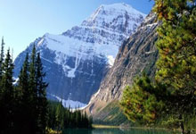 天涯社区玩币，到底是什么鬼？