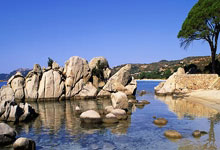 天涯社区港台版：港台网友的网络聚集地